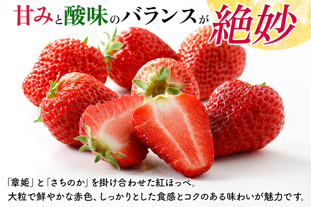 【東北・関東・東海・北陸・近畿 限定配送】いちご「紅ほっぺ」９粒〜 (2パック計830g以上)【12月中旬から順次発送】イチゴ 苺 あまい １粒35g以上の特大粒を厳選 産地直送ならではの大きさと赤さ 一般市場には流通しない厳選のいちご 数量限定
