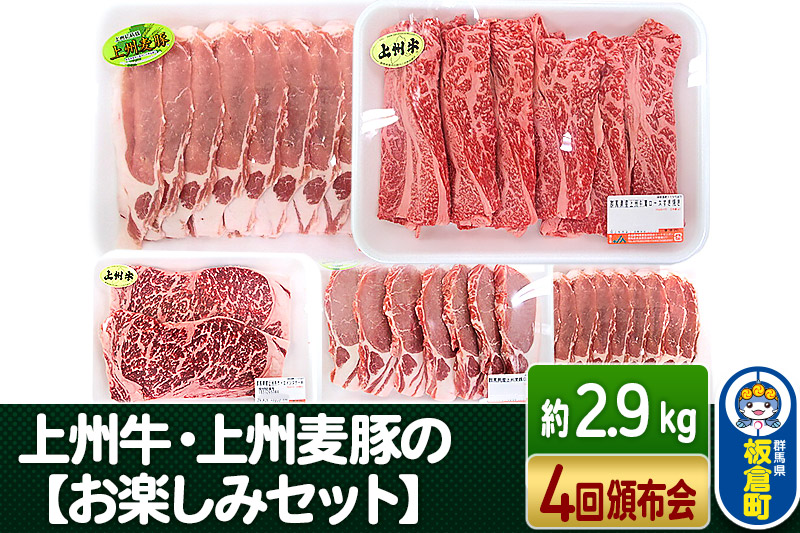 《定期便(頒布会)4回》上州牛・上州麦豚の【お楽しみセット】 ＜総量約2.9kg＞ 和牛ブランド ブランド豚 ごちそう お肉 牛肉 豚肉