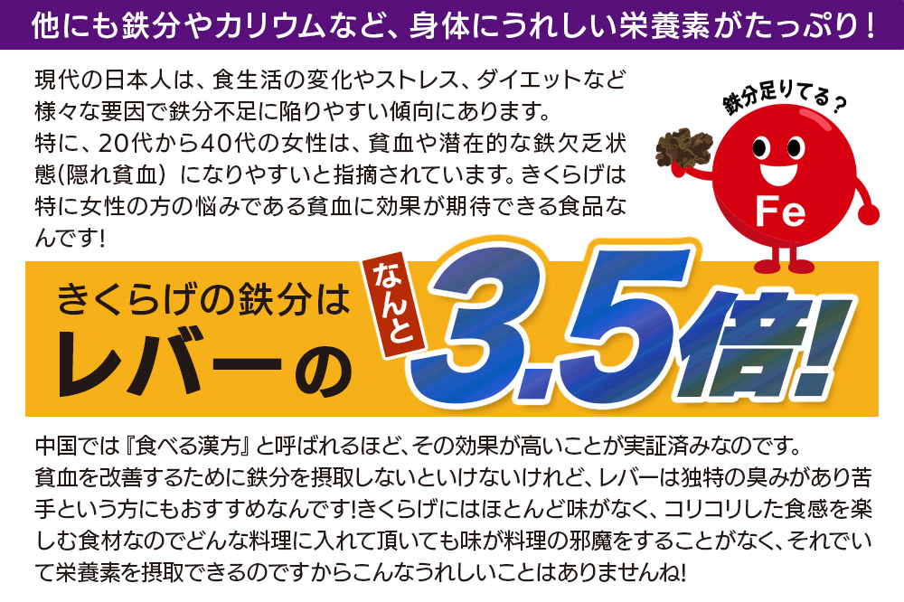 きくらげ 詰め合わせセット 群馬県産【生きくらげ 乾燥きくらげ つくだ煮】3種 計5個