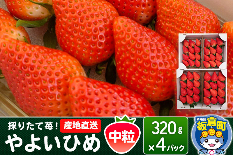 ãã¡ãïŒãããã²ãïŒäžç² 4ãã㯠æ¡ãããŠèºïŒç£å°çŽé ã€ã㎠ã¹ããããªãŒ ç