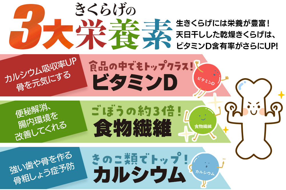 きくらげ 詰め合わせセット 群馬県産【生きくらげ 乾燥きくらげ つくだ煮】3種 計5個