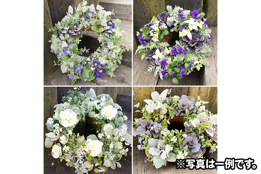 ãã³ã®ã³ã°ãªãŒã¹ãå£ç¯ã®ã¢ã¬ã³ãž (å¯è²ç³») çŽåŸçŽ40cmãçè± ããªã© ã€ã³ããªã¢ çé¢ ãã¹ã±ãã å¯ãæ€ã ãã¬ãŒã³ã èŽãç©ã