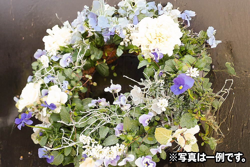 ãã³ã®ã³ã°ãªãŒã¹ãå£ç¯ã®ã¢ã¬ã³ãž (å¯è²ç³») çŽåŸçŽ40cmãçè± ããªã© ã€ã³ããªã¢ çé¢ ãã¹ã±ãã å¯ãæ€ã ãã¬ãŒã³ã èŽãç©ã