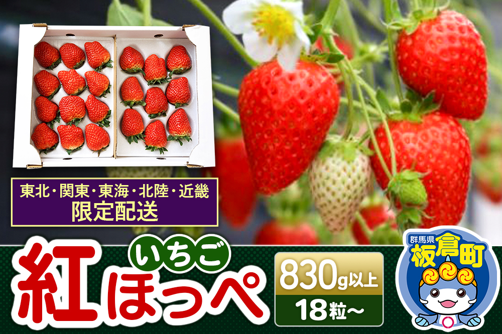 【東北・関東・東海・北陸・近畿 限定配送】いちご「紅ほっぺ」18粒〜 (計830g以上) 【12月中旬から順次発送】イチゴ 苺 大粒 初摘み あまい 綺麗 真っ赤 大きい 40g以上