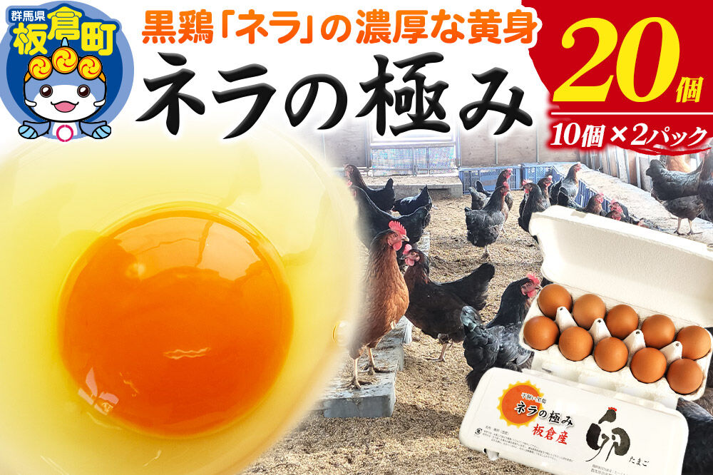 ネラの極み 卵 たまご 20個（10個×2パック） [ネラの極み 卵 たまご 玉子 タマゴ 黄身 濃厚 コク オランダ原産 黒鶏 群馬県 板倉町]