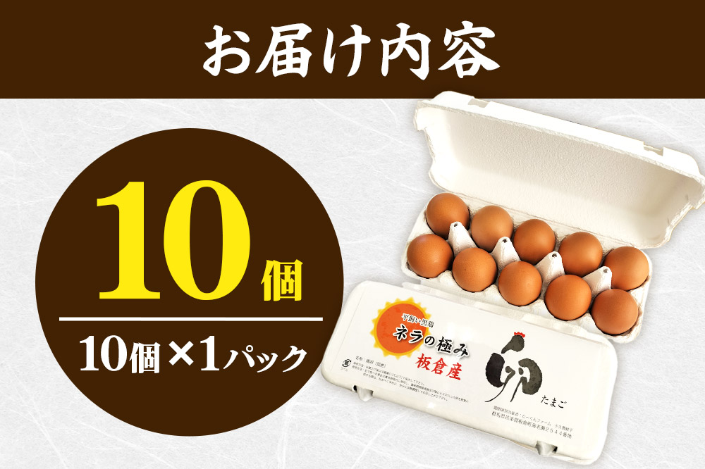 繝阪Λ縺ョ讌オ縺ソ 蜊オ 縺溘∪縺 10蛟具シ10蛟凝1繝代ャ繧ッシ