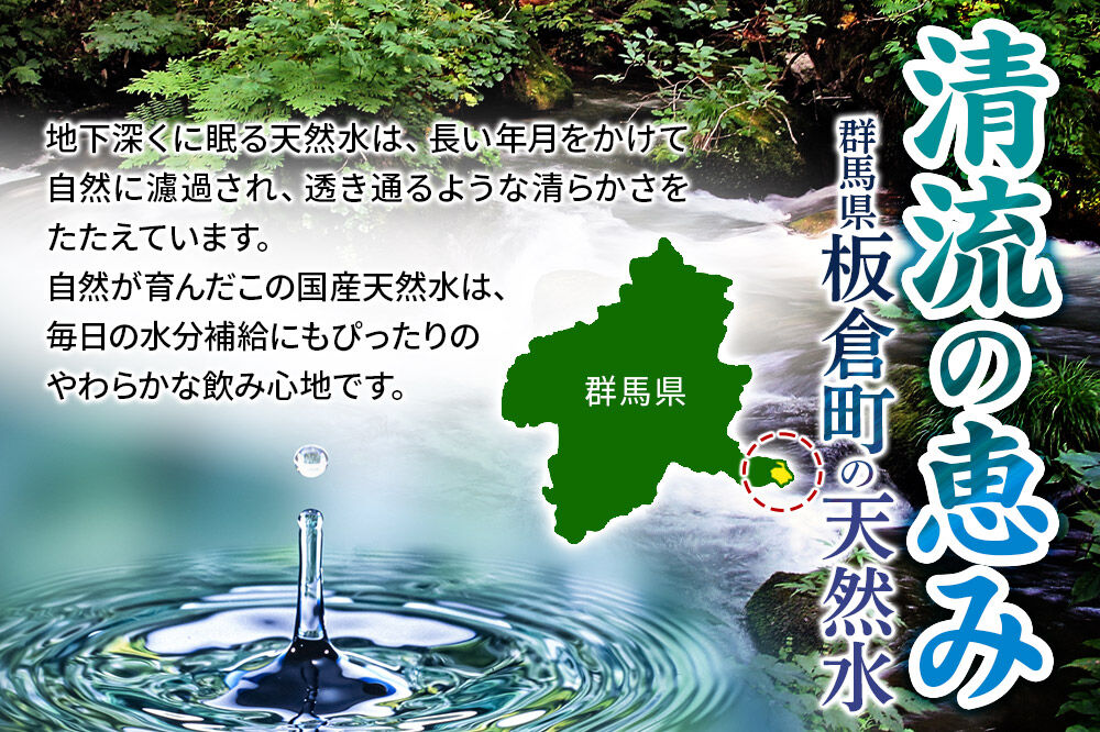 水 《定期便3ヶ月》国産 ミネラルウォーター ピュアの森 500ml 24本×2箱 計48本 天然水 軟水 ペットボトル ラベルあり [ミネラルウォーター 国産 天然水 軟水 ペットボトル 非加熱 高性能ろ過 お料理に 無菌充填 500ml 硝酸態窒素 亜硝酸態窒素 PFOS PFOA検査済み]