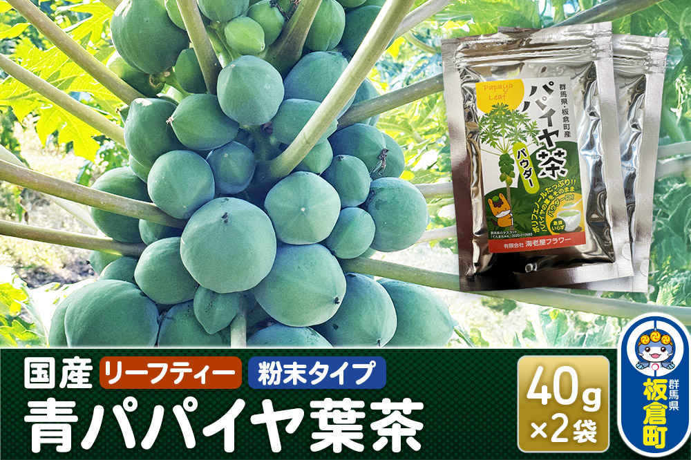 群馬県板倉町産 青パパイヤ葉茶（40g×2袋）リーフティー 粉末タイプ 国産 フルーツ 果物 南国 トロピカル