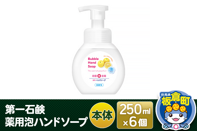 第一石鹸 薬用泡ハンドソープ 本体 250ml×6個