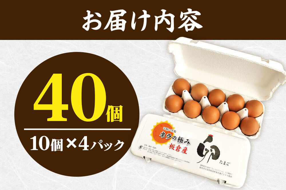 ネラの極み 卵 たまご 40個（10個×4パック） [ネラの極み 卵 たまご 玉子 タマゴ 黄身 濃厚 コク オランダ原産 黒鶏 群馬県 板倉町]