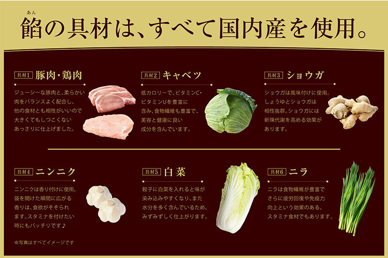 大阪王将 羽根つき餃子 6袋セット [餃子 冷凍 大阪王将 肉 おかず 夕飯 お弁当 冷凍 お惣菜 簡単料理]