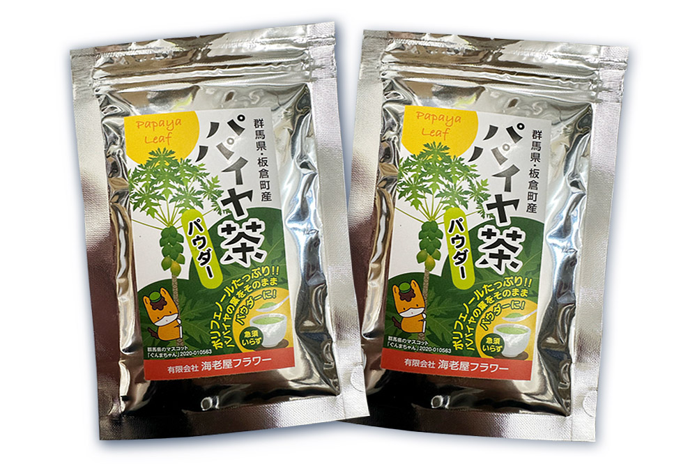 群馬県板倉町産 青パパイヤ葉茶（40g×2袋）リーフティー 粉末タイプ 国産 フルーツ 果物 南国 トロピカル