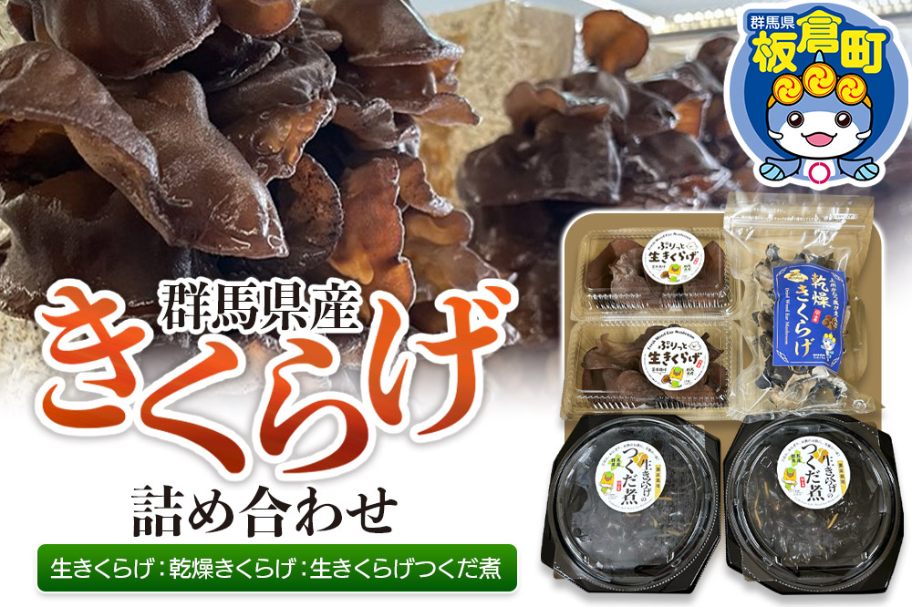 きくらげ 詰め合わせセット 群馬県産【生きくらげ 乾燥きくらげ つくだ煮】3種 計5個