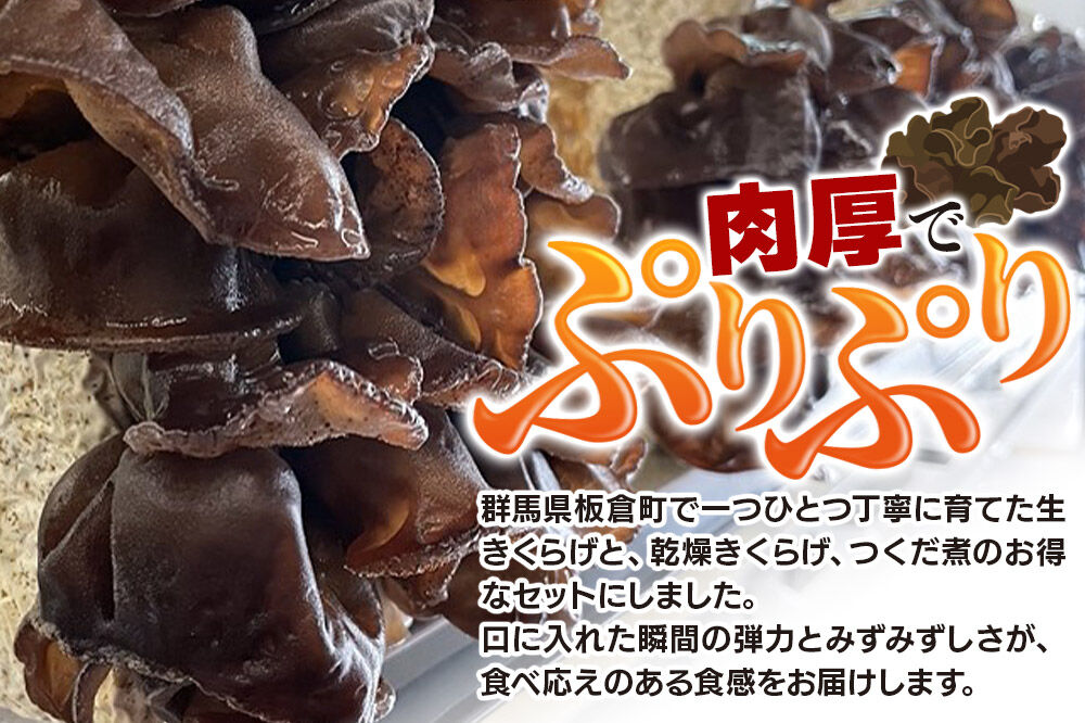 きくらげ 詰め合わせセット 群馬県産【生きくらげ 乾燥きくらげ つくだ煮】3種 計5個 [国産 きくらげ 生きくらげ 乾燥 きくらげ 生きくらげ佃煮 つくだ煮 詰め合わせ セット 群馬県 板倉町]
