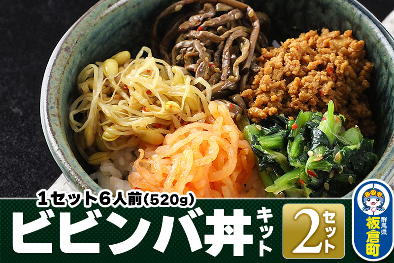 ビビンバ丼キット 2セット 合計12人前（1セット6人前：520g）