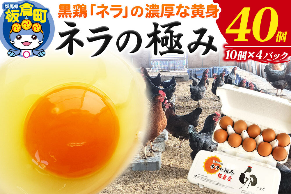 ネラの極み 卵 たまご 40個（10個×4パック） [ネラの極み 卵 たまご 玉子 タマゴ 黄身 濃厚 コク オランダ原産 黒鶏 群馬県 板倉町]