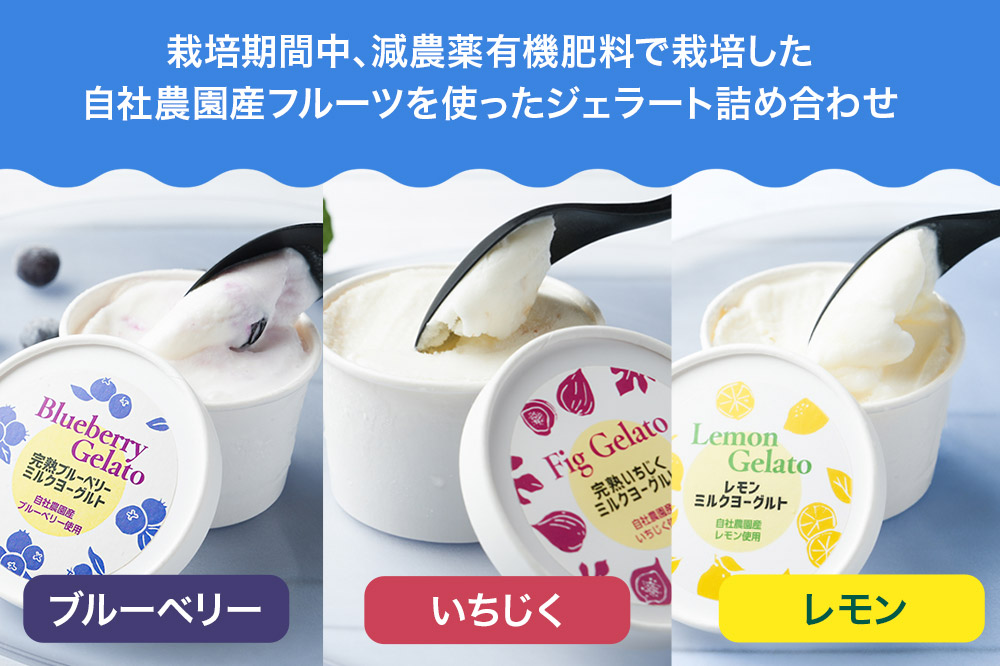 閾ェ遉セ霎イ蝨堤肇繝輔Ν繝シ繝繧ク繧ァ繝ゥ繝シ繝郁ゥー繧∝粋繧上○縲6蛟