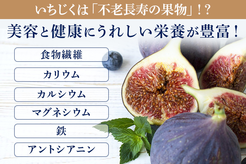 閾ェ遉セ霎イ蝨堤肇繝輔Ν繝シ繝繧ク繧ァ繝ゥ繝シ繝郁ゥー繧∝粋繧上○縲6蛟