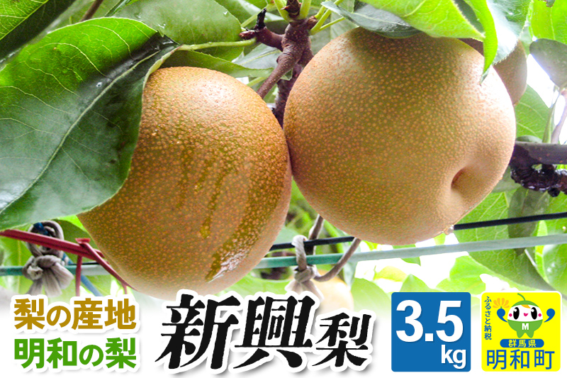 梨（新興）3.5kg