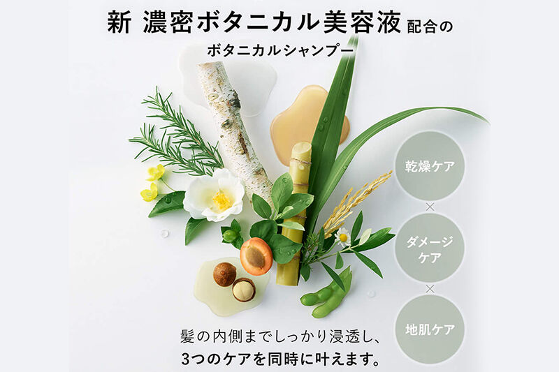 BOTANIST ボタニスト ボタニカル トリートメント 単品【モイスト】 3本（本体） [ボタニスト BOTANIST トリートメント おすすめ 人気 サラサラ しっとり ボリューム まとまり ぼたにすと 頭皮ケア ダメージ リンス ストレート うねり ダメージ補修 美容 ボトル]