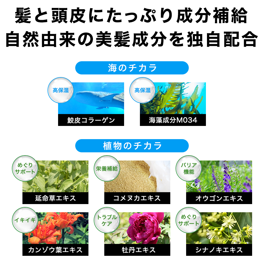 【6ヵ月定期便】スーパーサイヤ 薬用 育毛剤 120ml×1本