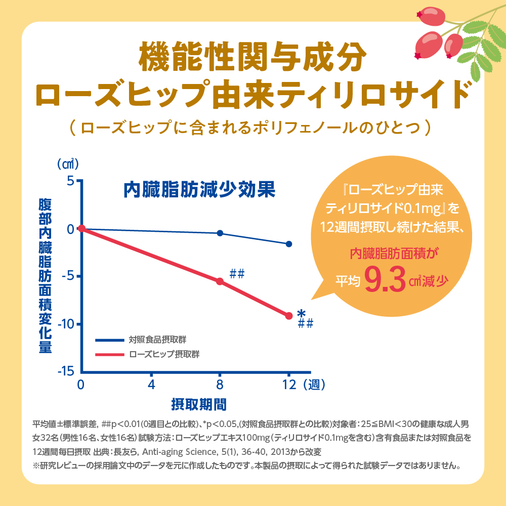 【2ヵ月定期便】サントリー　からだを想う オールフリー　500ml×24本 2ヶ月コース(計2箱) 群馬県 千代田町