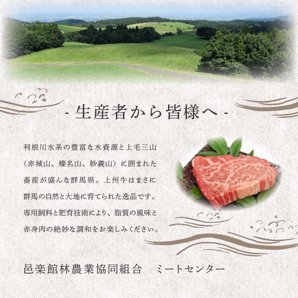 牛肉 焼肉 用 【上州牛】 肩ロース 500g 群馬県 産 千代田町