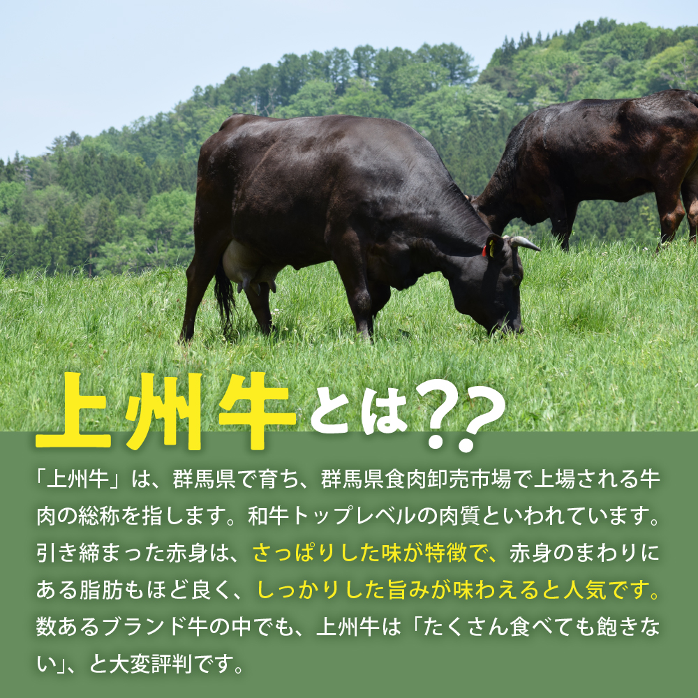 牛肉 ハンバーグ （180g×10個）手こね 上州牛100％！群馬県 千代田町