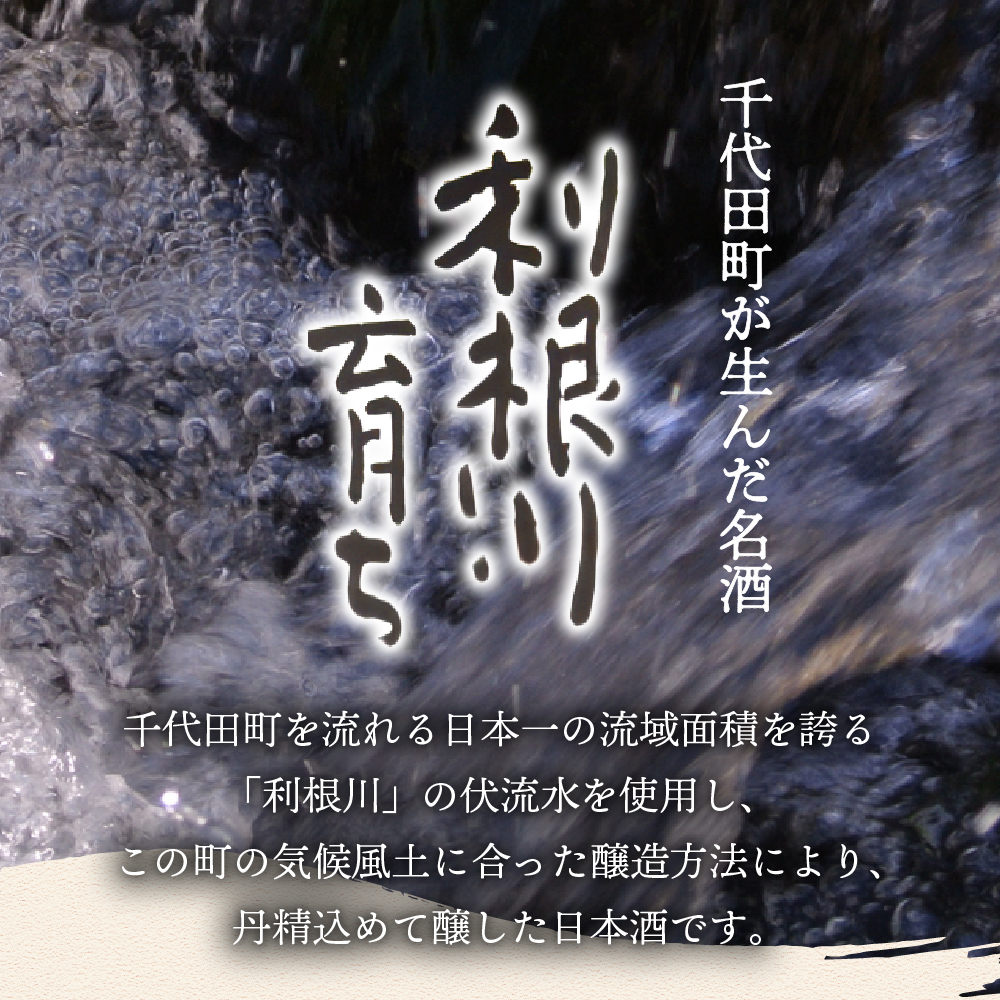 日本酒 清酒 【利根川育ち】 地酒 セット 群馬県 千代田町 ＜山川酒造＞