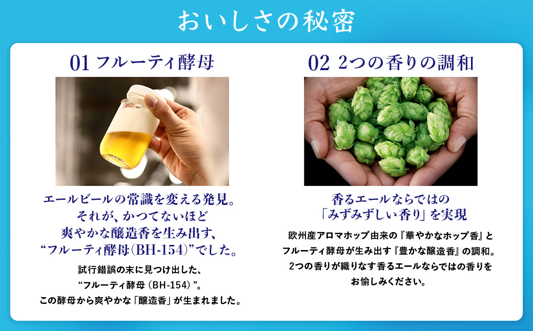 【6か月定期便】 サントリー　ザ・プレミアム・モルツ〈香る〉エール（350ml×48本）（高田屋本店）