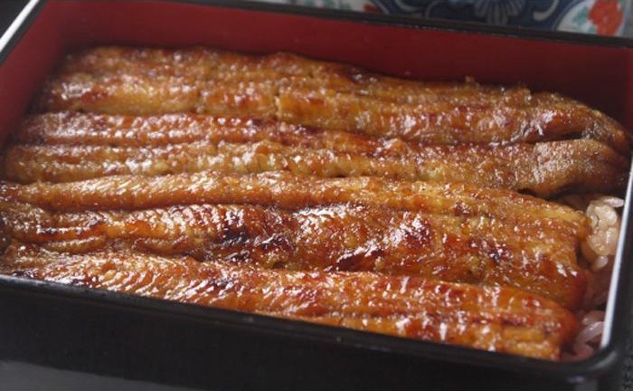 国産厳選鰻　明治初期創業「小堀」の特上蒲焼（6尾セット）