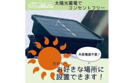 イルミン365（1台）【7月　七夕】