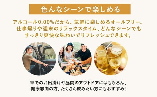 【3ヶ月定期便】サントリー からだを想うオールフリー 350ml×24本 ※離島への配送不可