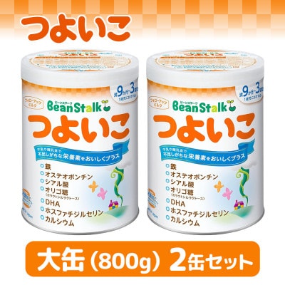 粉ミルク 雪印ビーンスターク つよいこ 大缶800g×2缶セット/9ヶ月頃〜3歳向け【1581606】