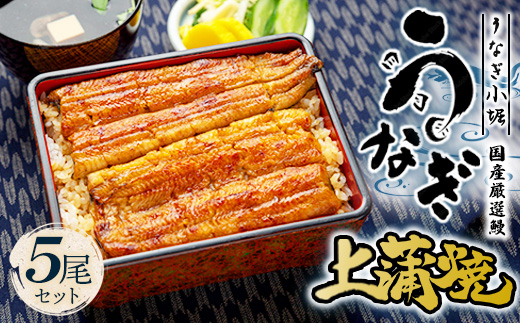 国産厳選鰻　明治初期創業「小堀」の上蒲焼（5尾セット）
