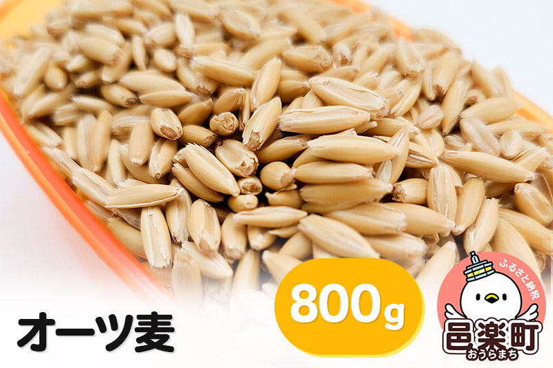 オーツ麦 800g×1袋 サイトウ・コーポレーション 飼料