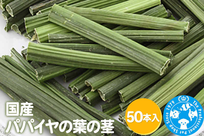 国産 パパイヤの葉の茎 50本入