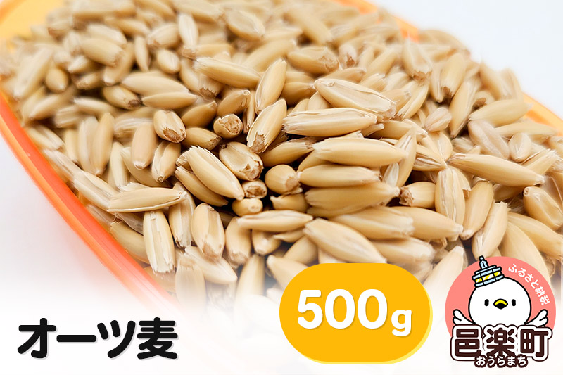 オーツ麦 500g×1袋 サイトウ・コーポレーション 飼料