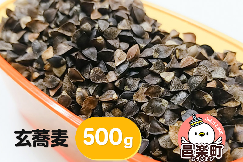 玄蕎麦 500g×1袋 サイトウ・コーポレーション 飼料