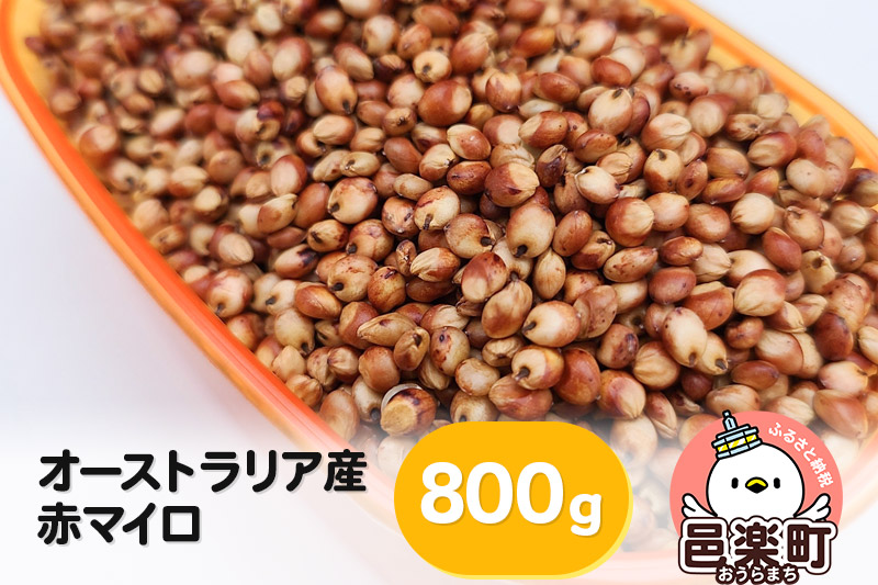 赤マイロ オーストラリア産 800g×1袋 サイトウ・コーポレーション 飼料