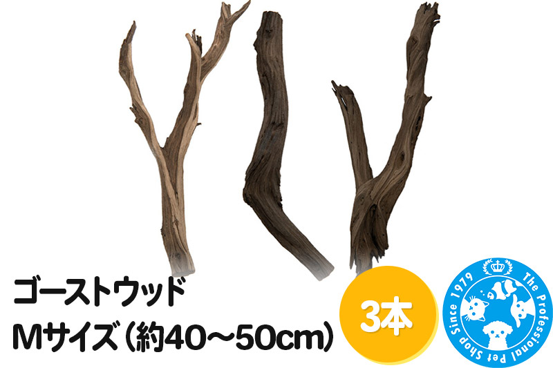 ゴーストウッド Mサイズ（約40〜50cm）3本