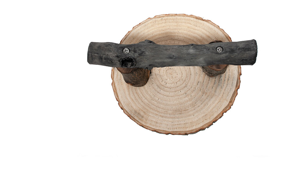 å°é³¥ã®çªãšãçš åé·çã®æ¢ãŸãæš çœ®ãå å°