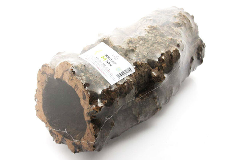 形状お任せ 筒型コルク Mサイズ 長さ30cm エアプランツ 着生植物 [株式会社チャーム charm コルク樹皮 バックパネル ビバリウム 養生植物]