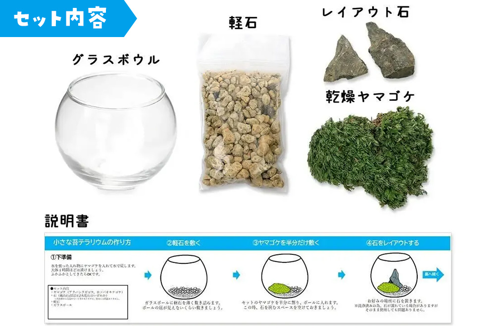 苔 種類おまかせ 本物で作る 小さな苔テラリウム カプセルトイ 30個セット 株式会社チャーム charm