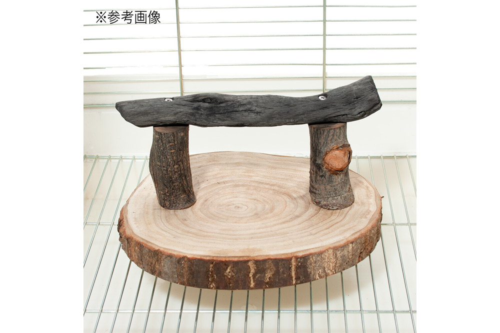 å°é³¥ã®çªãšãçš åé·çã®æ¢ãŸãæš çœ®ãå äž