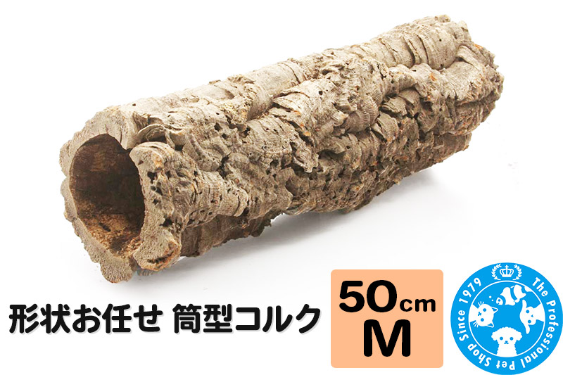 形状お任せ 筒型コルク Mサイズ 長さ50cm エアプランツ 着生植物