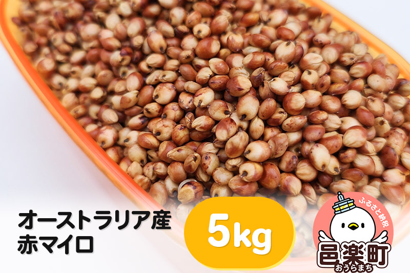 赤マイロ オーストラリア産 5kg×1袋 サイトウ・コーポレーション 飼料