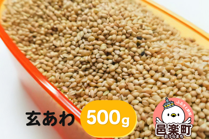 玄あわ 500g×1袋 サイトウ・コーポレーション 飼料