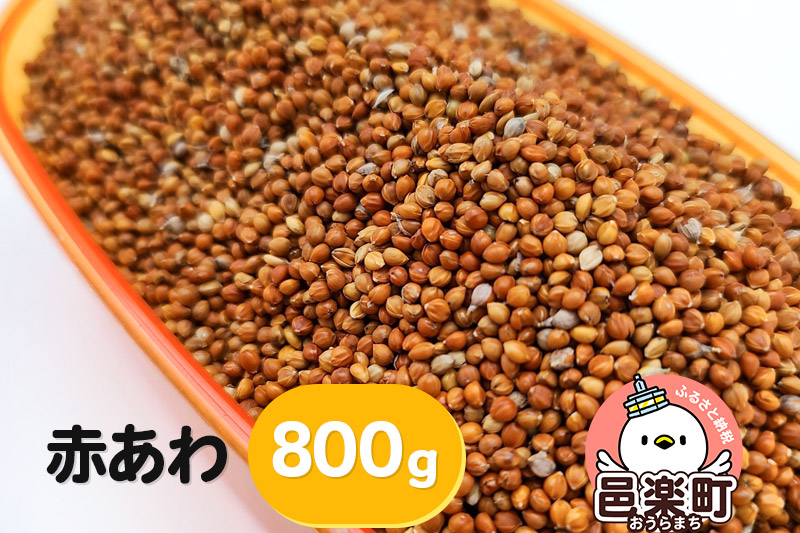 赤あわ 800g×1袋 サイトウ・コーポレーション 飼料