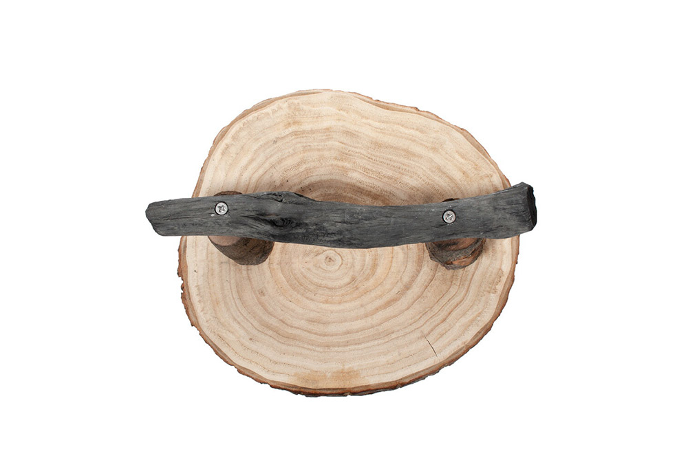 å°é³¥ã®çªãšãçš åé·çã®æ¢ãŸãæš çœ®ãå äž